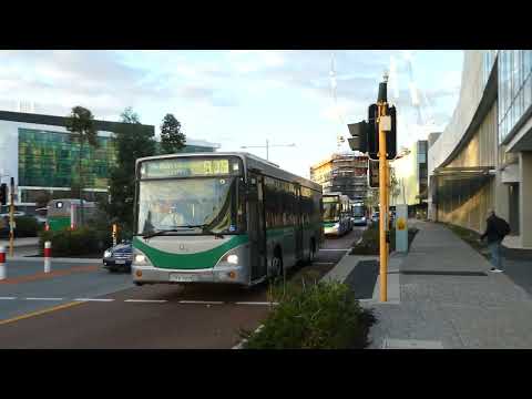 Transperth Mercedes-Benz O405NH (Volgren CR226L) TP1219 at Barry Marshall Parade
