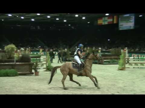 Punch de l'Esques - Cross indoor Bordeaux 2017