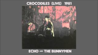 Crocodiles live by Echo and the Bunnymen 1981 Pavillion Gardens concert from Shine So Hard film