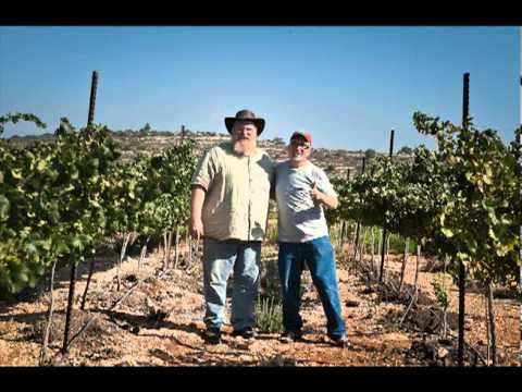 HaYovel | Working in the Vineyards