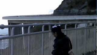preview picture of video '[Australia] Sea Cliff Bridge 1'