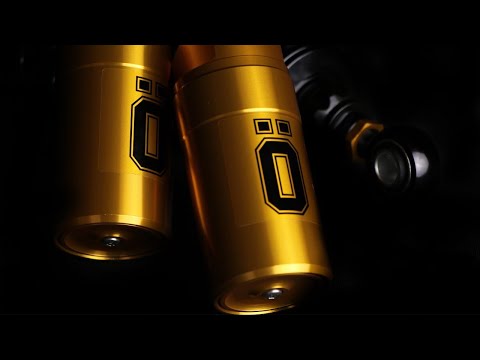 Öhlins Motorcycle STX Pro Shocks for Harley-Davidson