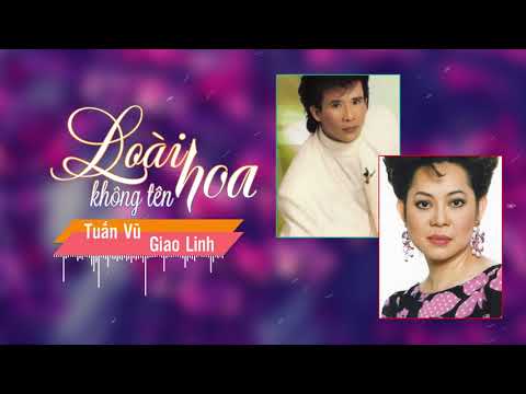 Loài hoa không tên Sheet - Tuấn Vũ