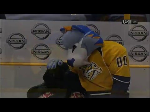Gotta See It: Preds mascot rids Nashville of black cat curse