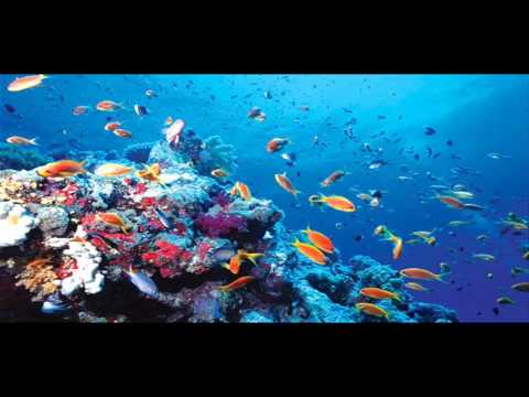 Gasz x Straylo - "Spływam" (Prod. Frakty Fraktal)