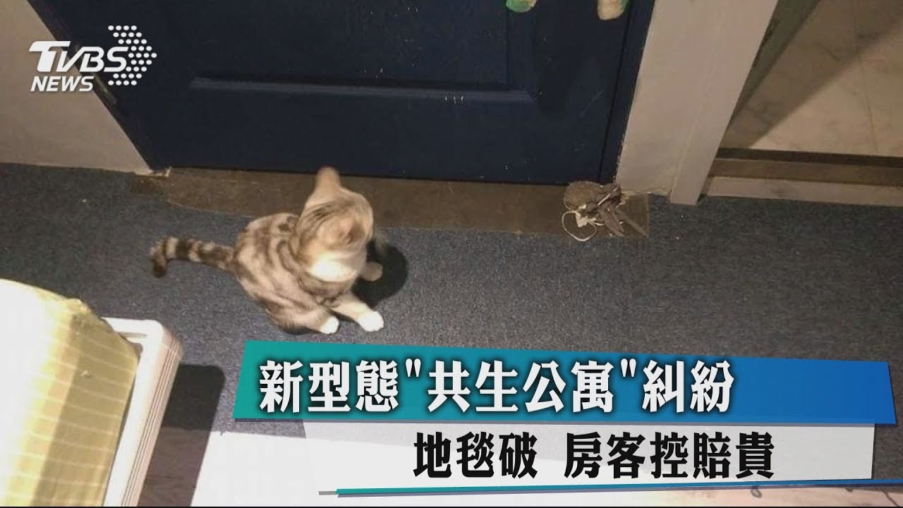 新型態「共生公寓」糾紛 地毯破房客控賠貴