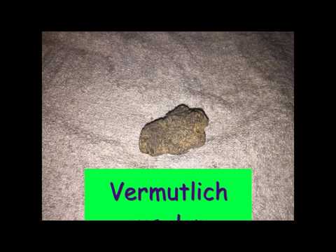 SondelFieber Teil (1) 2017