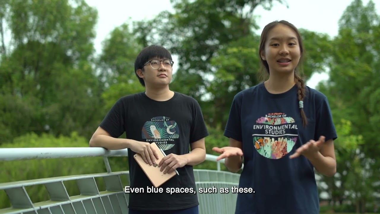 Environmental Studies | XDP@CHS Major