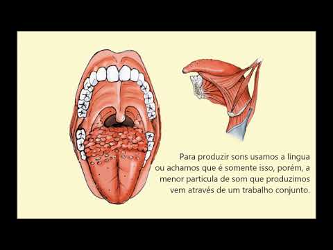 Fonética e Fonologia