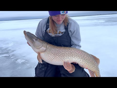 She pulls up a 30lb NORTHERN PIKE!