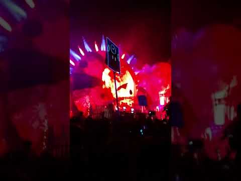 Black Tiger Sex Machine@ Tomorrowworld 2015 Gathering