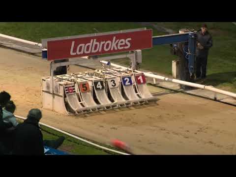 Trade Fudge - Ladbrokes Kent Derby - HT 5