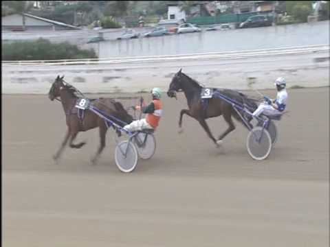 Trotto 02/04/2017 - 3ª corsa