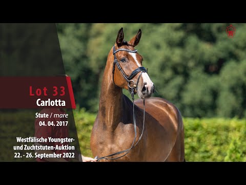 Online-Auktion Lot  33 Carlotta Stute v. Cornet Obolensky - Diarado