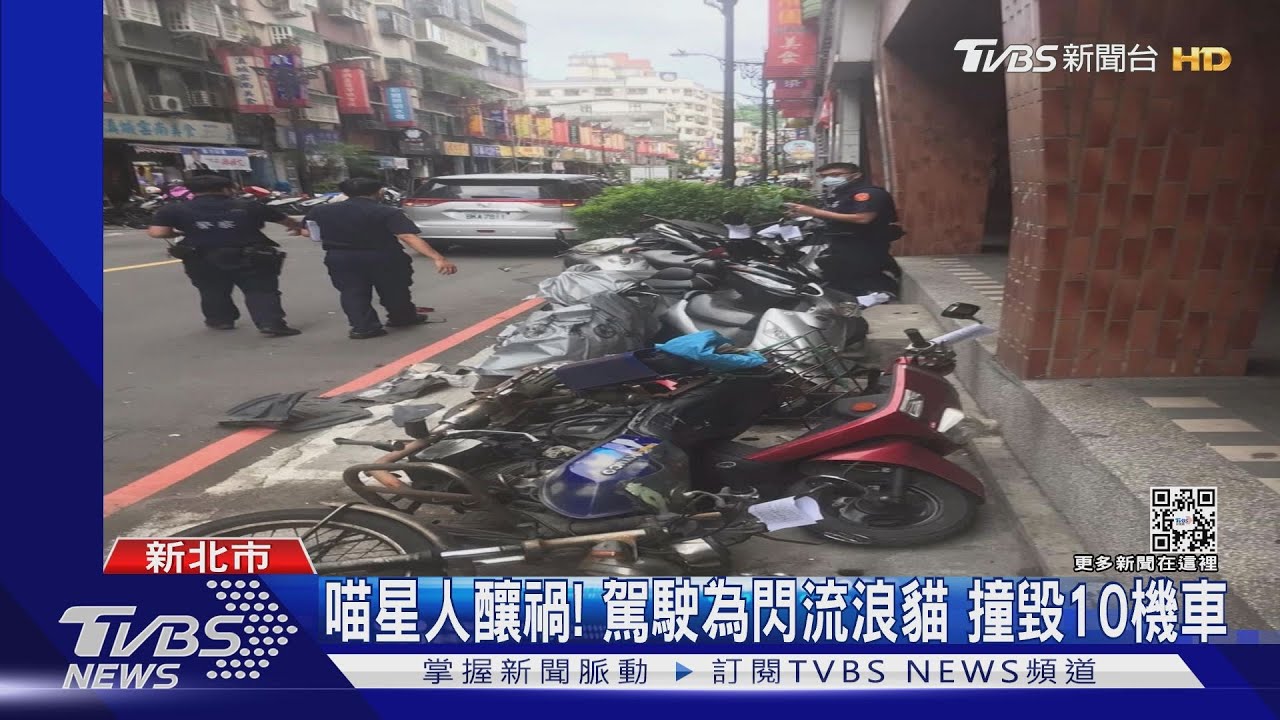 喵星人釀禍!駕駛為閃流浪貓撞毀10機車 賠償金恐破10萬