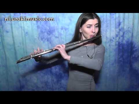 Fluit Leren Spelen Jessie J, Ariana Grande, Nicki Minaj Bang Bang Cover Fluitles Studie Klasse Muzie