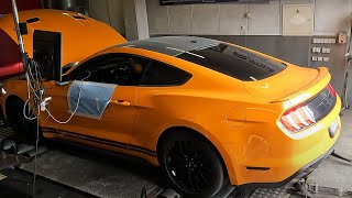 Ford MUSTANG GT 5.0 580kW thumbnail