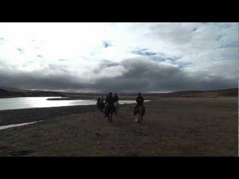 Riding along Víðidalsá