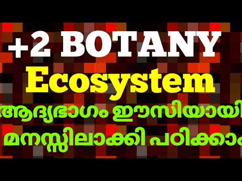 Ecosystem | plustwo botany | part1 | +2 botany | ecosystem in Malayalam | twelth ncert biology | sci