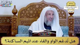 16 - هل تُدغم الواو والفاء عند الميم الساكنة؟ - عثمان الخميس