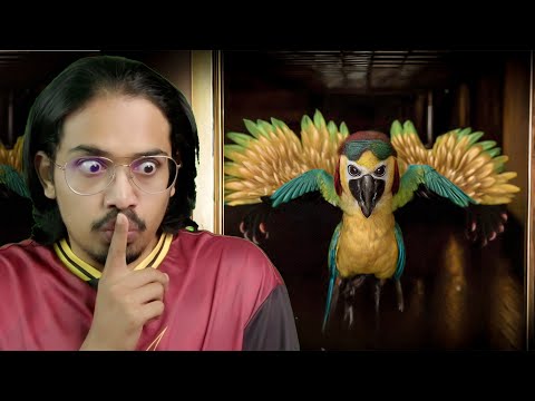 This Animal Park is Haunted