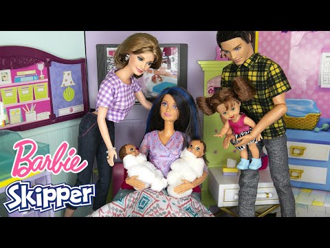 Meet the New Twin Babies! | Barbie Family Doll Story Full Movie
