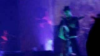 Babyshambles LIVE - Back from the dead (NIA)