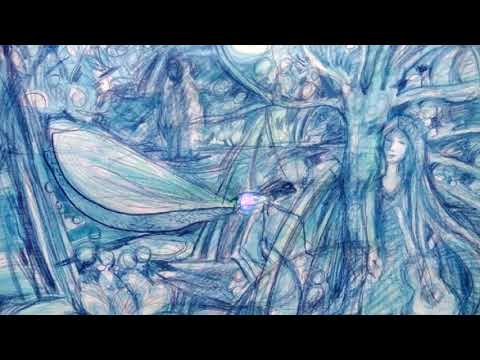 Jana Betty Terlecká - Odlesky vážek - folk