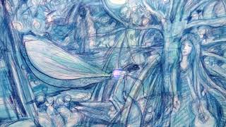 Video Odlesky vážek - folk