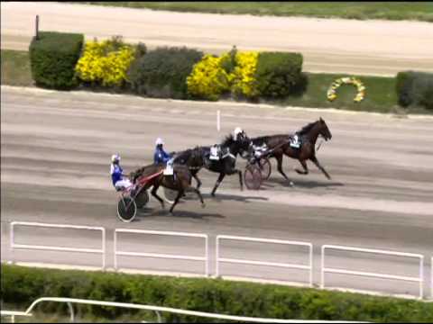 Trotto 03/05/2015 - 1° corsa Speed Race Batteria C