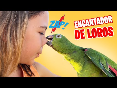 ¿Que pasó con el BEBÉ LORO? 🦜+ VISITA al Encantador de LOROS ¡Mascotas increíbles!