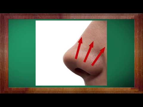 Biologie Clasa a 7-a Lectia: Limba si nasul