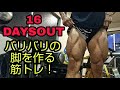 大会16日前!バリバリの脚を作る筋トレ!【カウントダウンシリーズ】