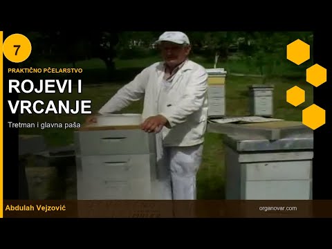 Rojevi i vrcanje meda