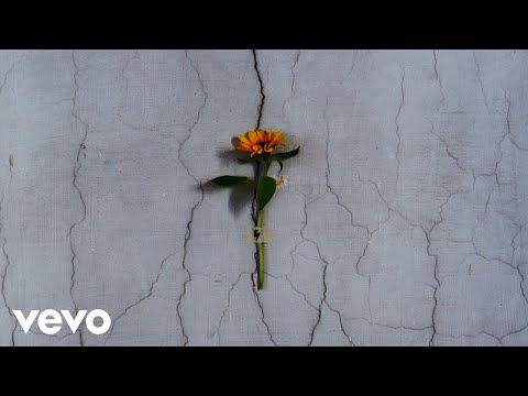 nayt, Ernia - Se corri (Visual)