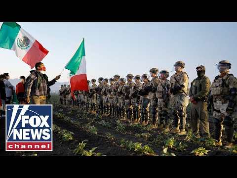 'DISTURBING': ICE finds 14 minors after California cannabis farm raid