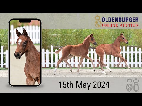 1. Online Fohlenauktion - Trailer