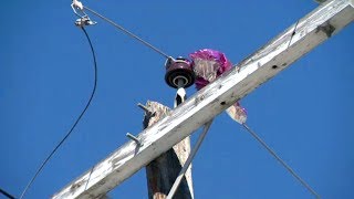 Outrage after stray balloon causes power outage in Edmonton