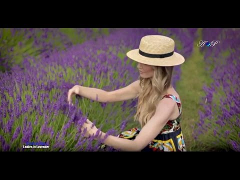 Ladies In Lavender - JOSHUA BELL