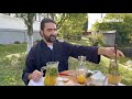 Apă De Slăbit O Modalitate Sănătoasă și Delicioasă De A Pierde în Greutate Remedii Mănăsti