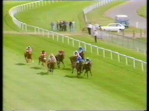 1993 Kenilworth Handicap