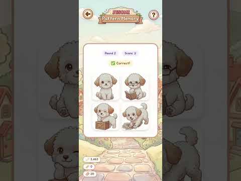 Jesomi Miniworld: Maltipoo Dog video thumbnail
