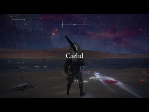 Tanking Radahn's Meteor head on!