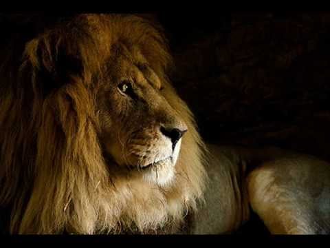 Hino Avulso Homem de Deus