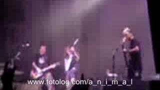 A.N.I.M.A.L - Highway to Hell