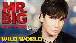 WILD WORLD - MR. BIG (Eric Martin) Live  (4K - Ultra HD)
