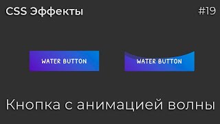 CSS Inspiration #19 Awesome Water Wave Button