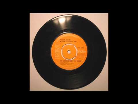 The Seagull's Name Was Nelson ~ Peter E. Bennett (1970) Remaster