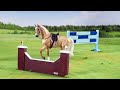 Same old love official briar horse music videos 2017