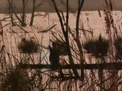 Aboriginal Britain Ray Mears Bushcraft  S1E1 part 4